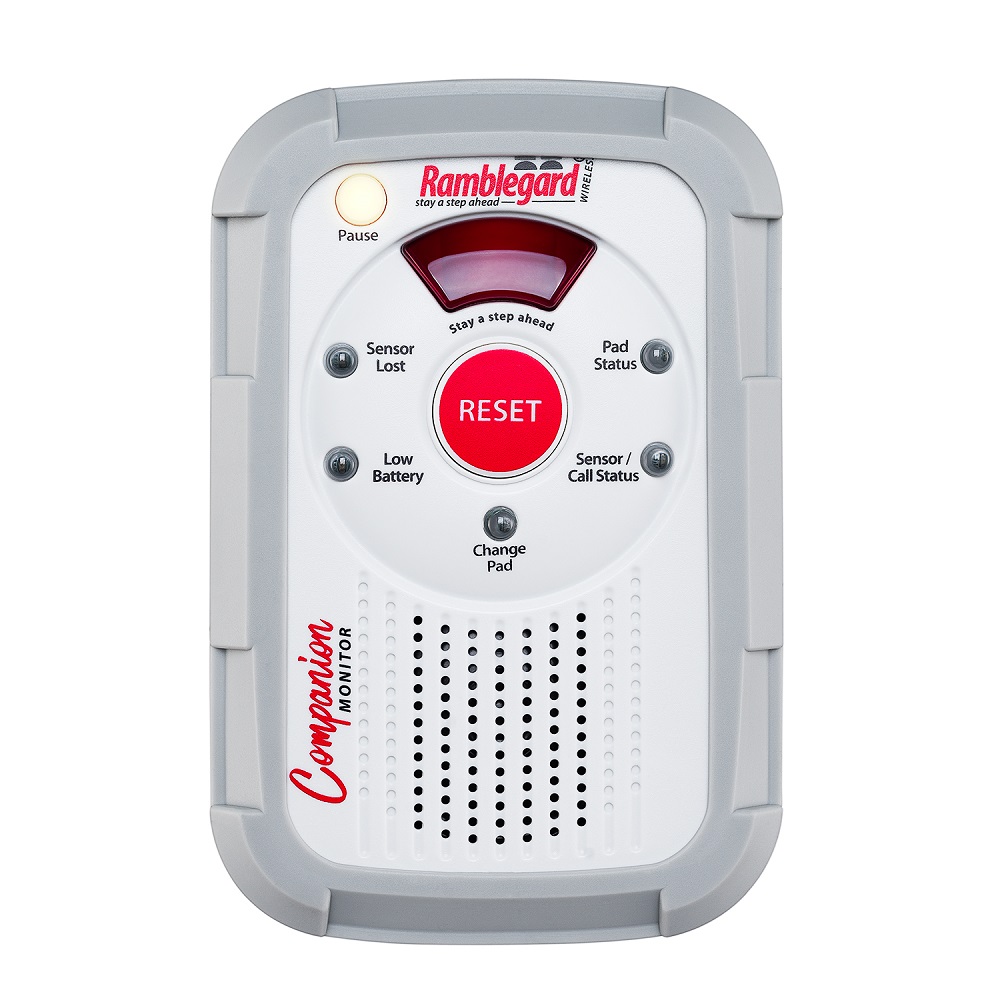 Wireless Companion Monitor only (RG2)